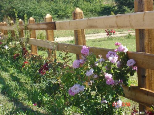 Agroturismo Aroggia Farm
