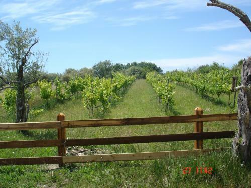 Agroturismo Aroggia Farm