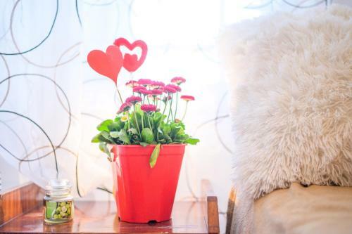 Apartamento Luxury House