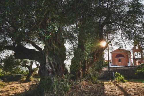 Apartamento The Guund House