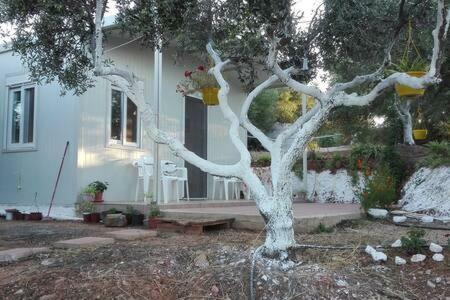 Calm And Top View In Chania Countryside