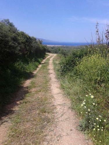 Calm And Top View In Chania Countryside