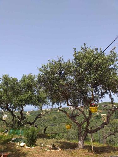 Calm And Top View In Chania Countryside