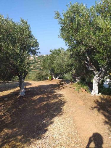 Calm And Top View In Chania Countryside