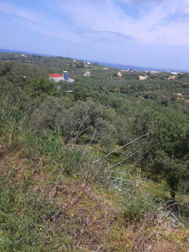 Calm And Top View In Chania Countryside