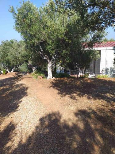 Calm And Top View In Chania Countryside