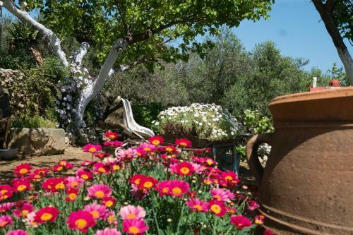 Traditional Family Cretan Home!