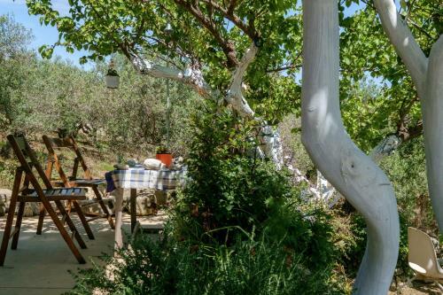 Traditional Family Cretan Home!