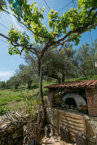 Traditional Family Cretan Home!
