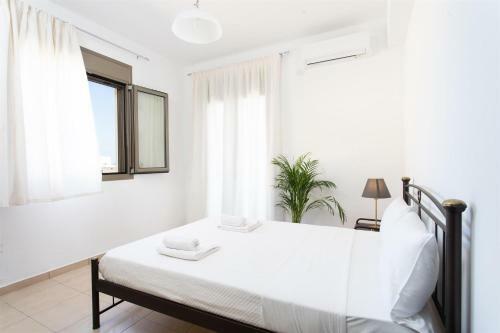 Apartamento Tulipa Suites