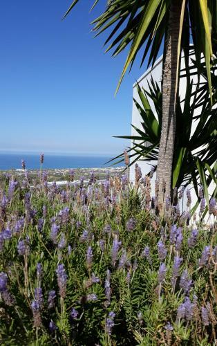 Apartamento Alkyoni - Stavi's Guesthouse