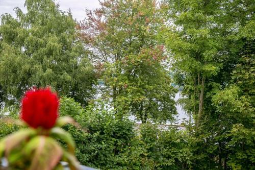 Seebrunn Living Hotel
