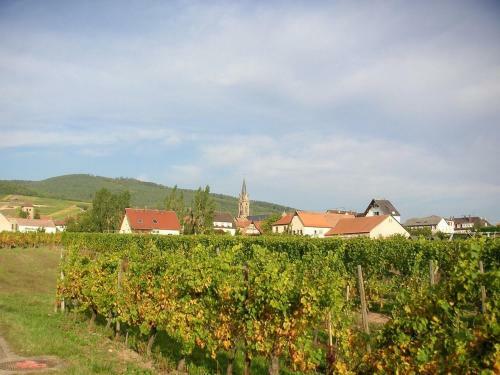 Apartamento Appartements Les Cl�s Des Vignes