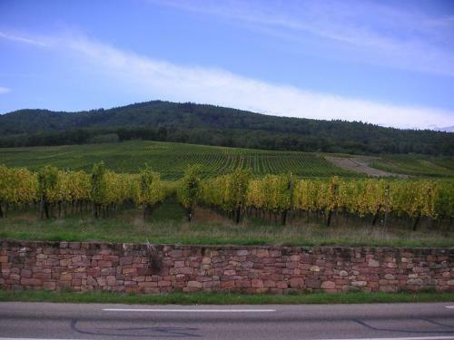 Apartamento Appartements Les Cl�s Des Vignes