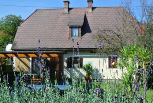 Apartamento Appartement Und Ferienhaus Walzl
