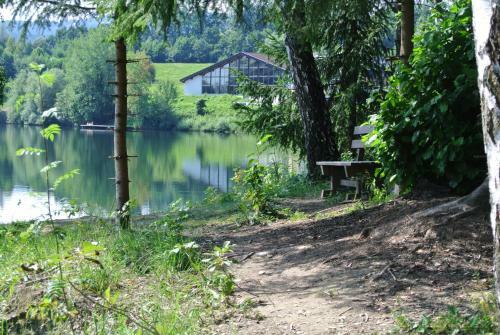 Apartamento Appartement Und Ferienhaus Walzl