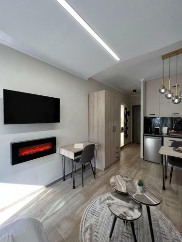 Cozy Downtown Apartment