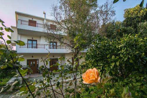 Apartamento Ariadni's Maisonette