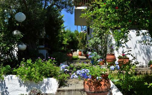 Sonia's House With Garden