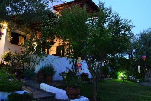 Sonia's House With Garden