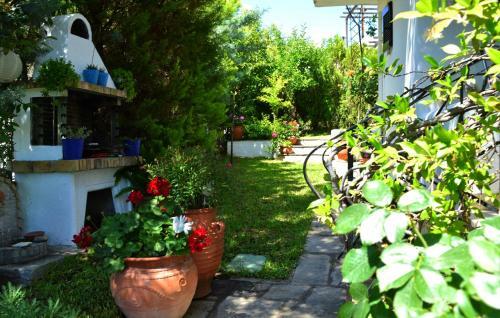 Sonia's House With Garden