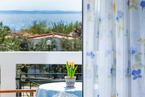 Gerakini Sunshine Holiday Homes