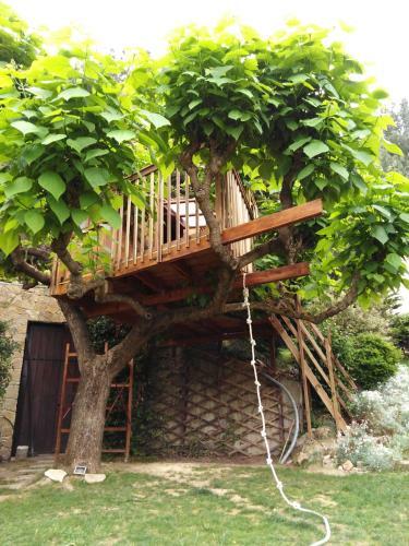 Six Steps From The Forest