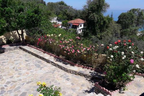 Villa Eleni's House Chorefto