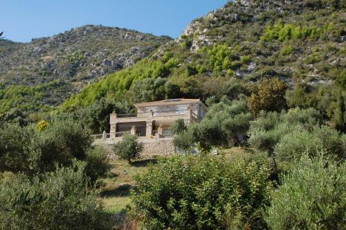 Old Olive House