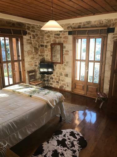 Villa Terra