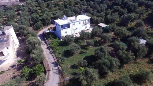 Mina Apartments