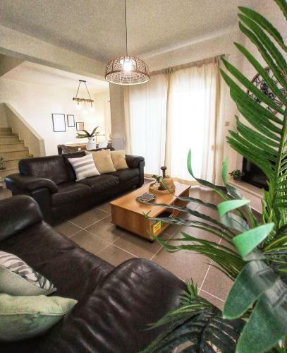 Villa Amare Luxury Living