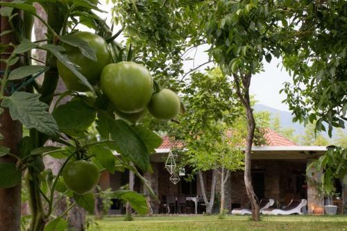 Apartamento Sinanis Garden House