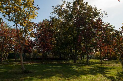 Apartamento Sinanis Garden House