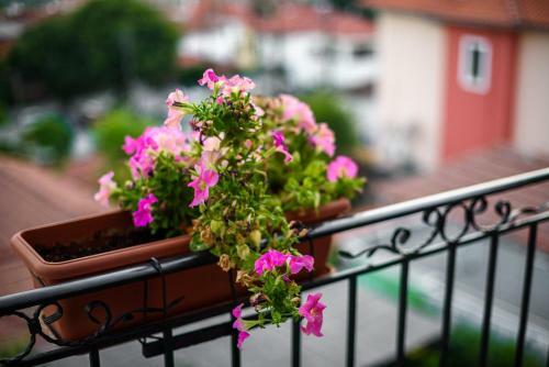 Apartamento Mansion Chalatsopoulos