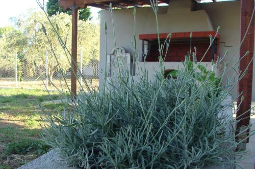 Gorjelina `s House