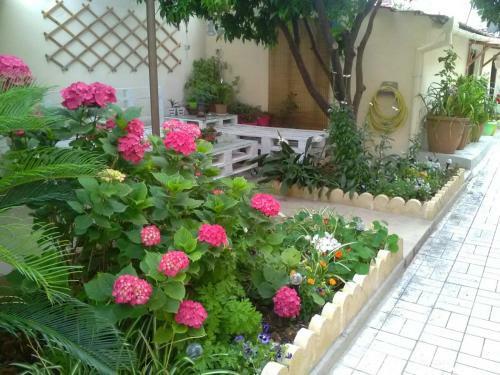 Apartamento Agni's City House