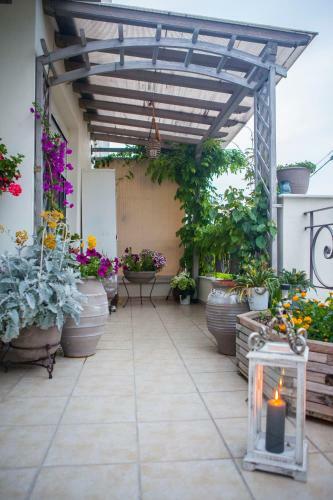 Villa Dina's House