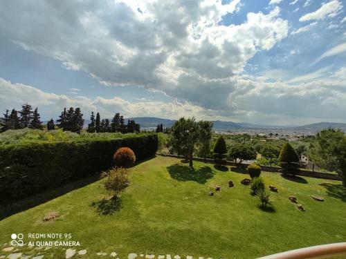 Luxury Villa Thea