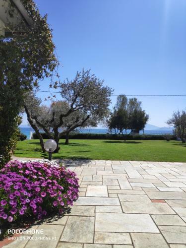 V.k.seaside Villa