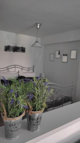 Apartamento Lavender Home
