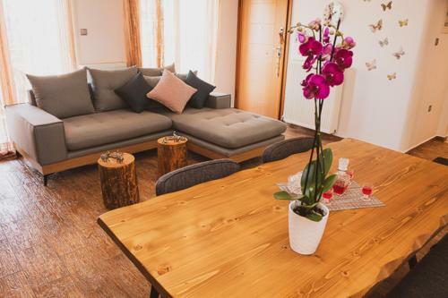 Apartamento Voloxenia