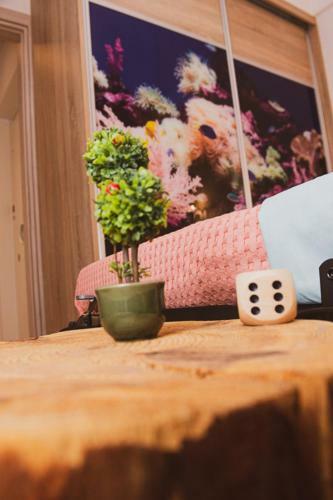Apartamento Voloxenia
