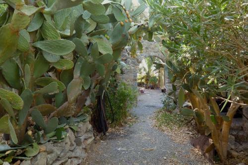 Wellanidia Cottage Skoutari