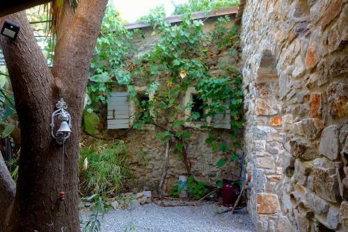 Wellanidia Cottage Skoutari