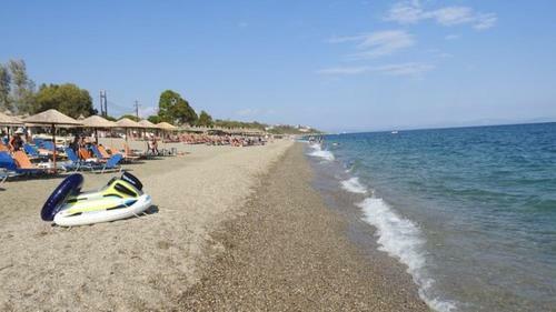 Apartamento Malvaziosvillas