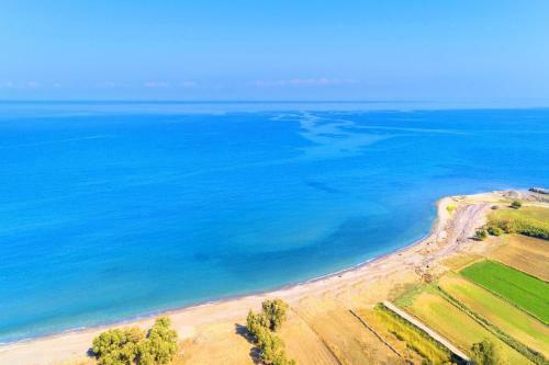 Apartamento Beachfront Suite