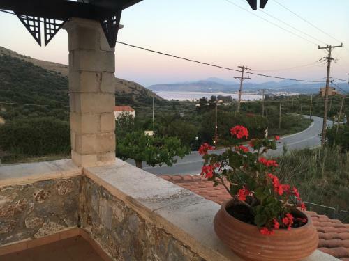 Athina Homes