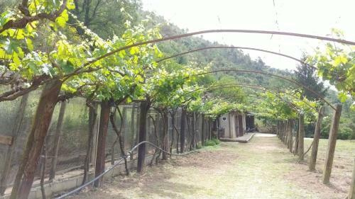 Agricamping Ponte Raggio 1