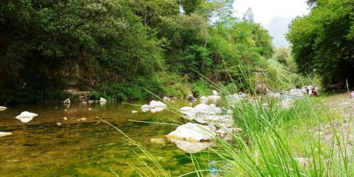 Agricamping Ponte Raggio 1